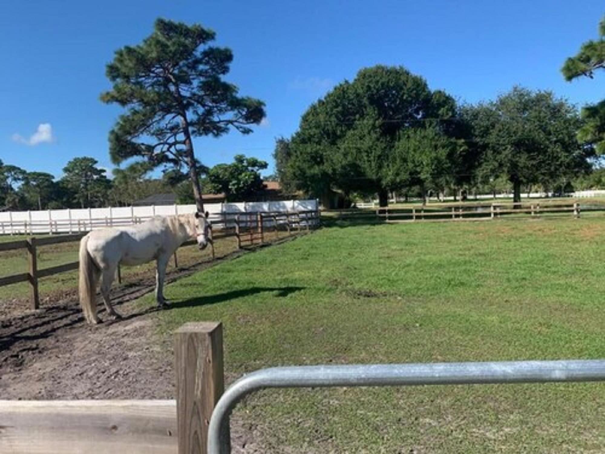 Oyo Family Ranch At Melbourne Fl Hotel Buitenkant foto